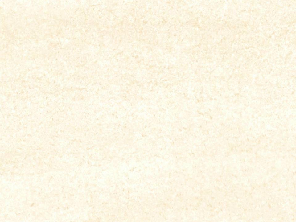 3M™ DI-NOC™ Architectural Finishes Stone AE 1955