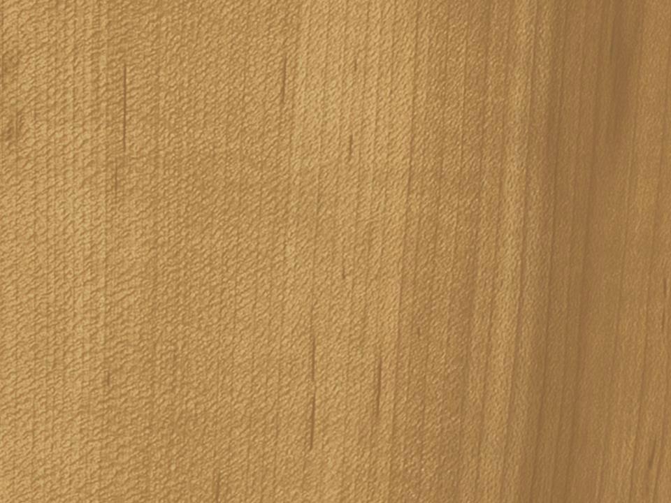 3M™ DI-NOC™ Architectural Finishes Dry Wood DW 1873 MT