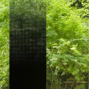 3M™ FASARA™ Glass Finishes Gradation SH2BKIM Illumina Black
