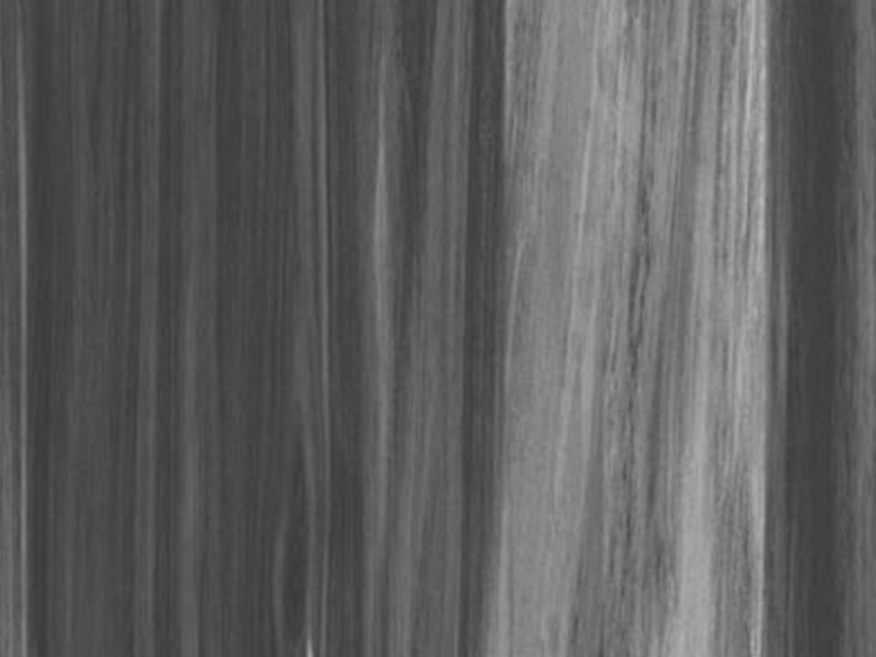 3M™ DI-NOC™ Architectural Finishes Metallic Wood MW 1419