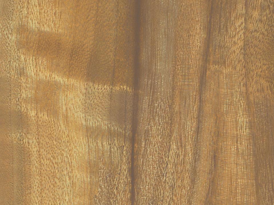 3M™ DI-NOC™ Architectural Finishes Fine Wood FW 7011