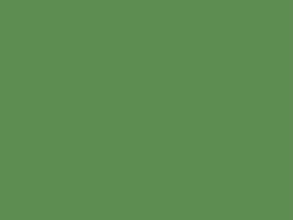 3M™ DI-NOC™ Architectural Finishes Solid Color PS 1010
