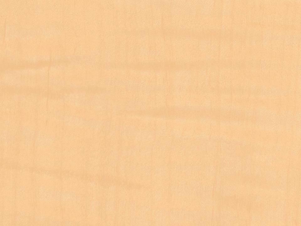 3M™ DI-NOC™ Architectural Finishes Wood Grain WG 248
