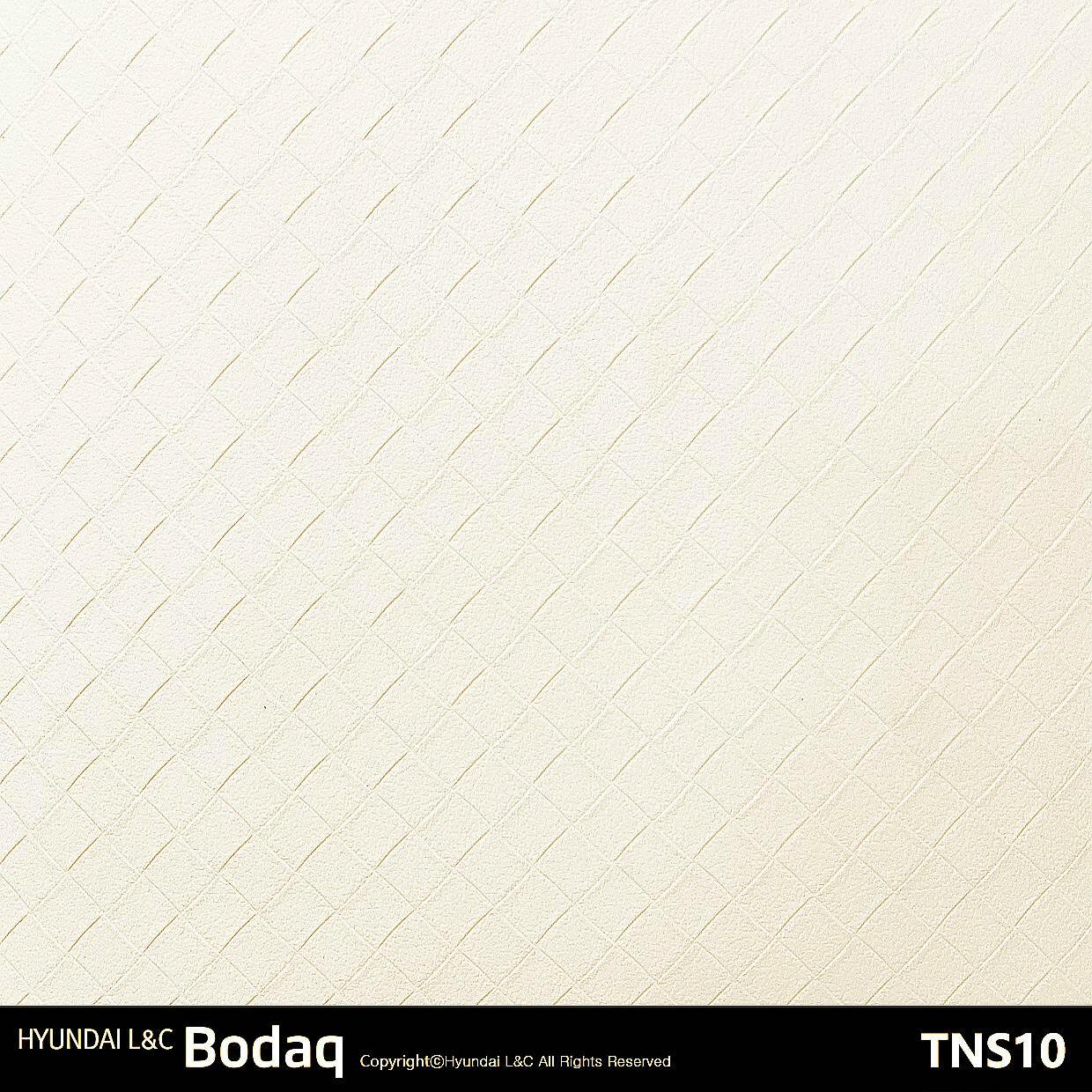 韓國BODAQ Interior Film裝飾貼膜 TNS10