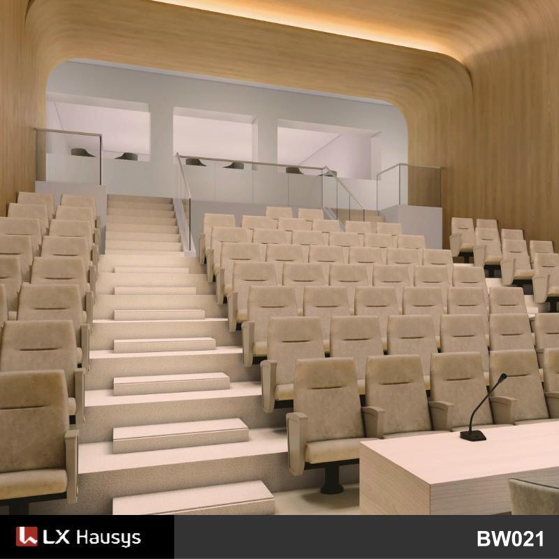 會議室演講廳培訓室裝修翻新轉色貼膜 LX Hausys BW021