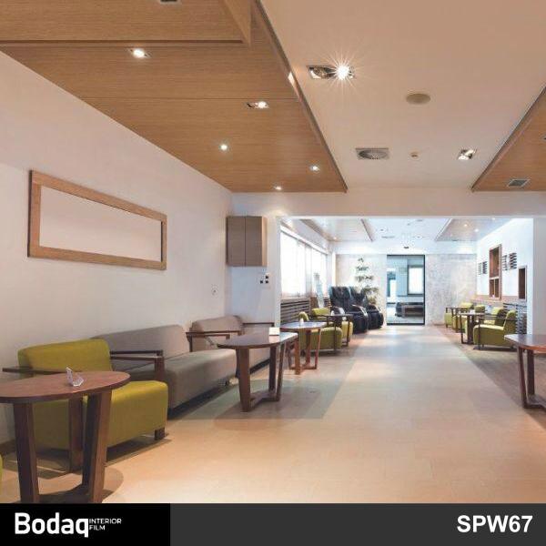 酒店餐廳大堂牆壁裝飾翻新轉色貼膜 Bodaq SPW67