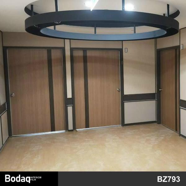 門片貼膜 醫院醫療養護中心房門裝飾翻新改色貼膜 Bodaq BZ793